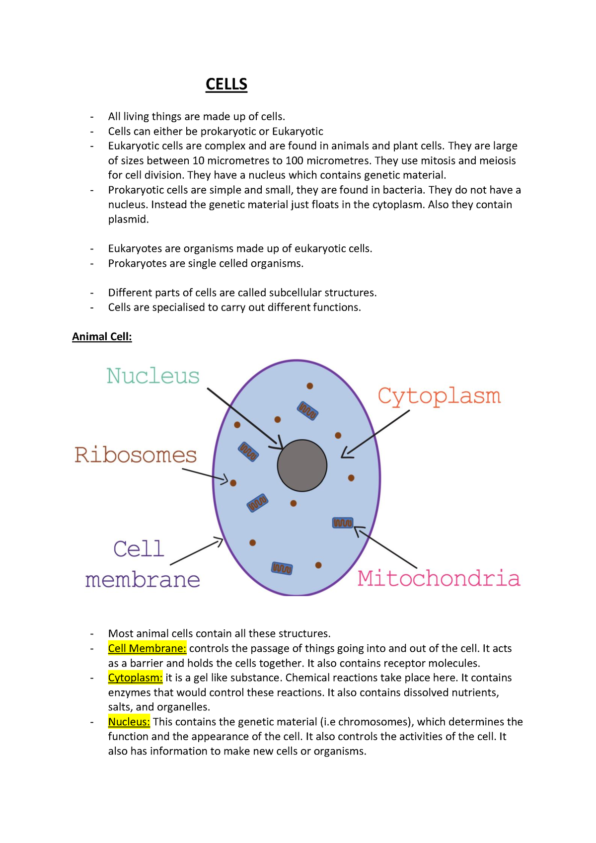 cells-cells-all-living-things-are-made-up-of-cells-cells-can-either