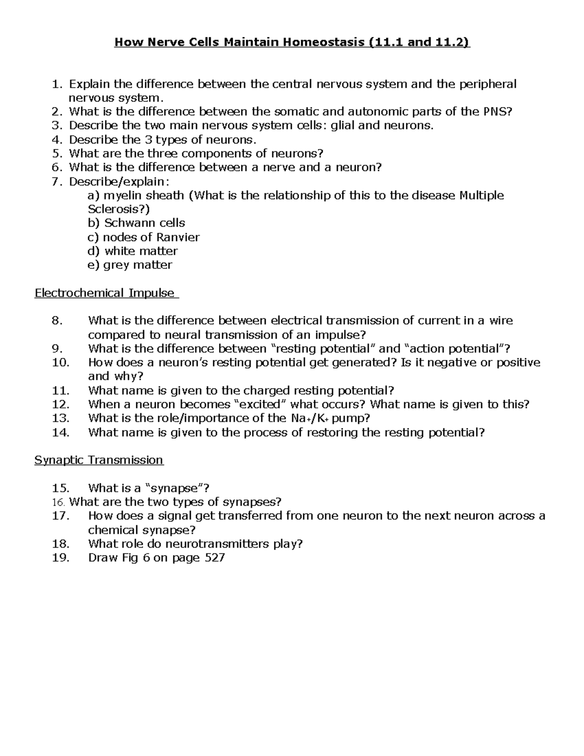 Nerve Signals Worksheet Answers