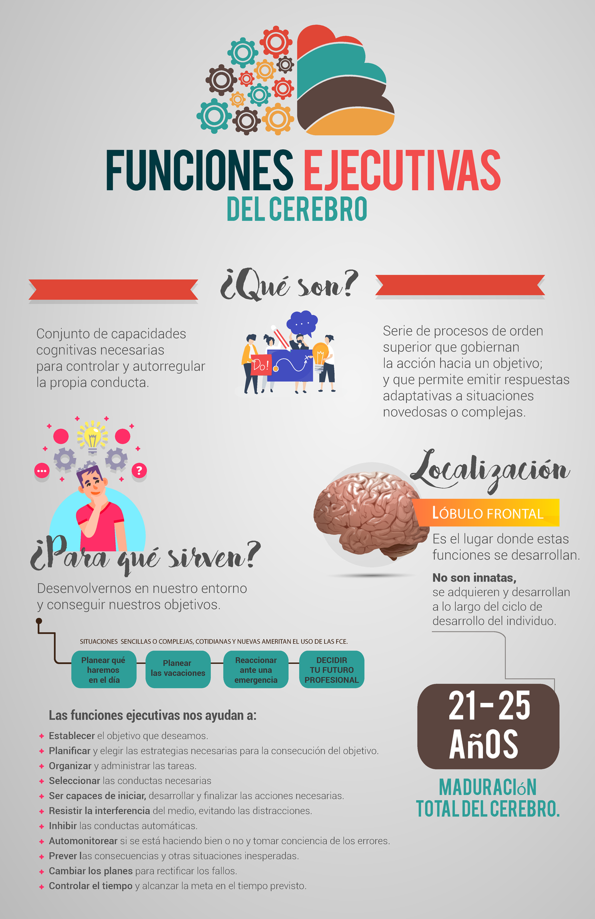 Infografia de funciones ejecutivas - ? ......? DEL CEREBRO Conjunto de ...