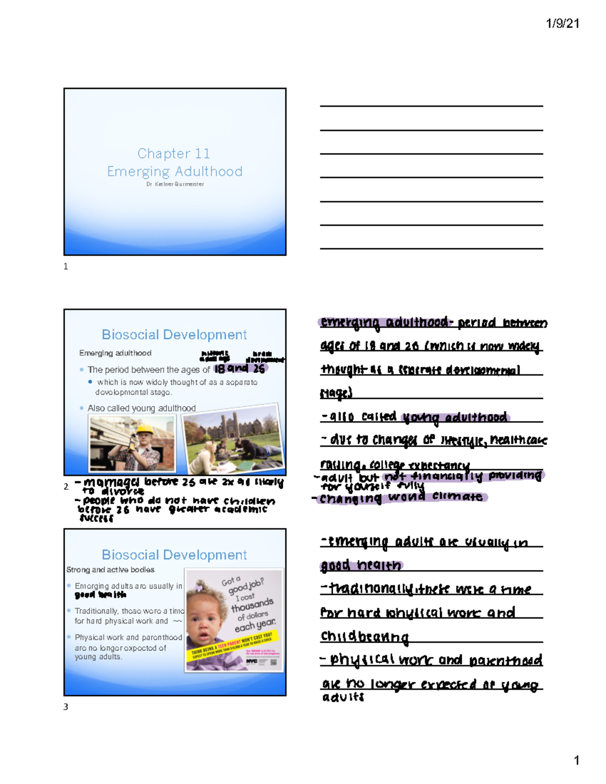 Chapter 11 - Chapter 11 Emerging Adulthood Dr. Kiefner-Burmeister 1 ...