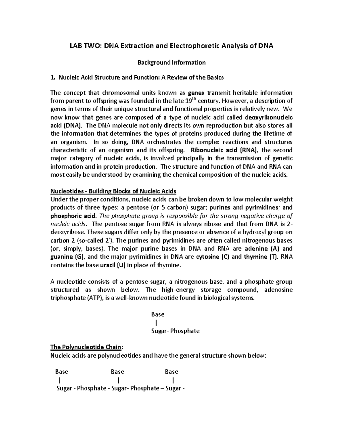 Study guide for lab 2 - LAB TWO: DNA Extraction and Electrophoretic ...