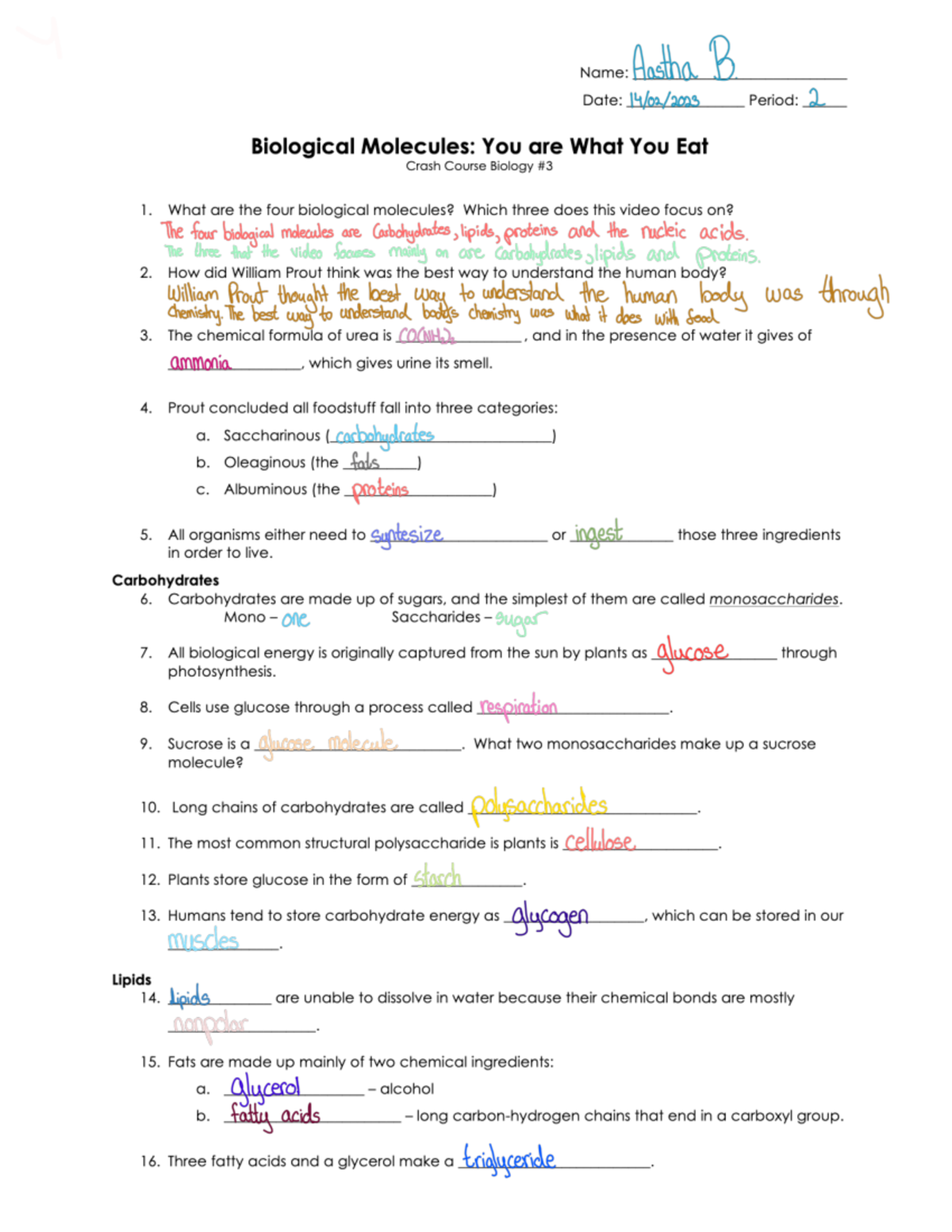 biological-molecules-you-are-what-you-eat-studocu