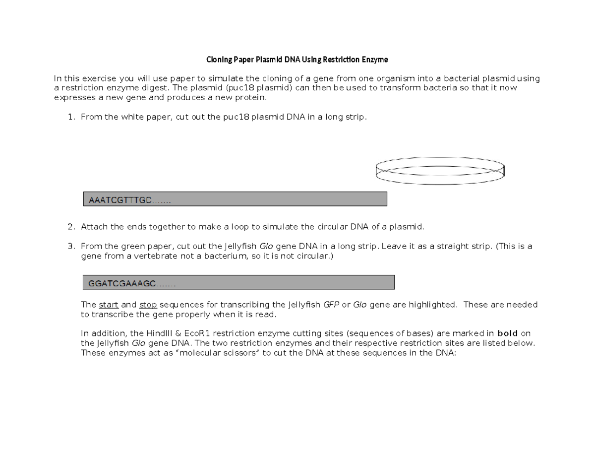 Activity 1 Cloning Paper Plasmid DNA Using Restriction Enzyme Cloning