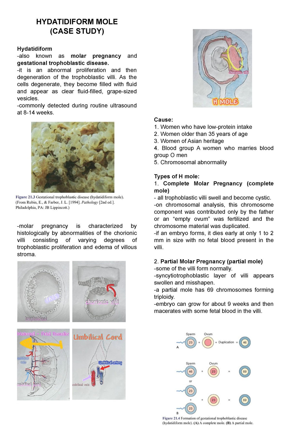 h mole (case study scribd)