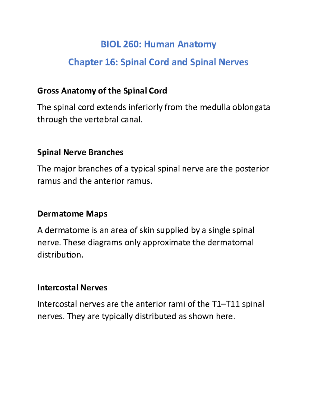 Anatomy Ch 16 (Notes) - BIOL 260: Human Anatomy Chapter 16: Spinal Cord ...