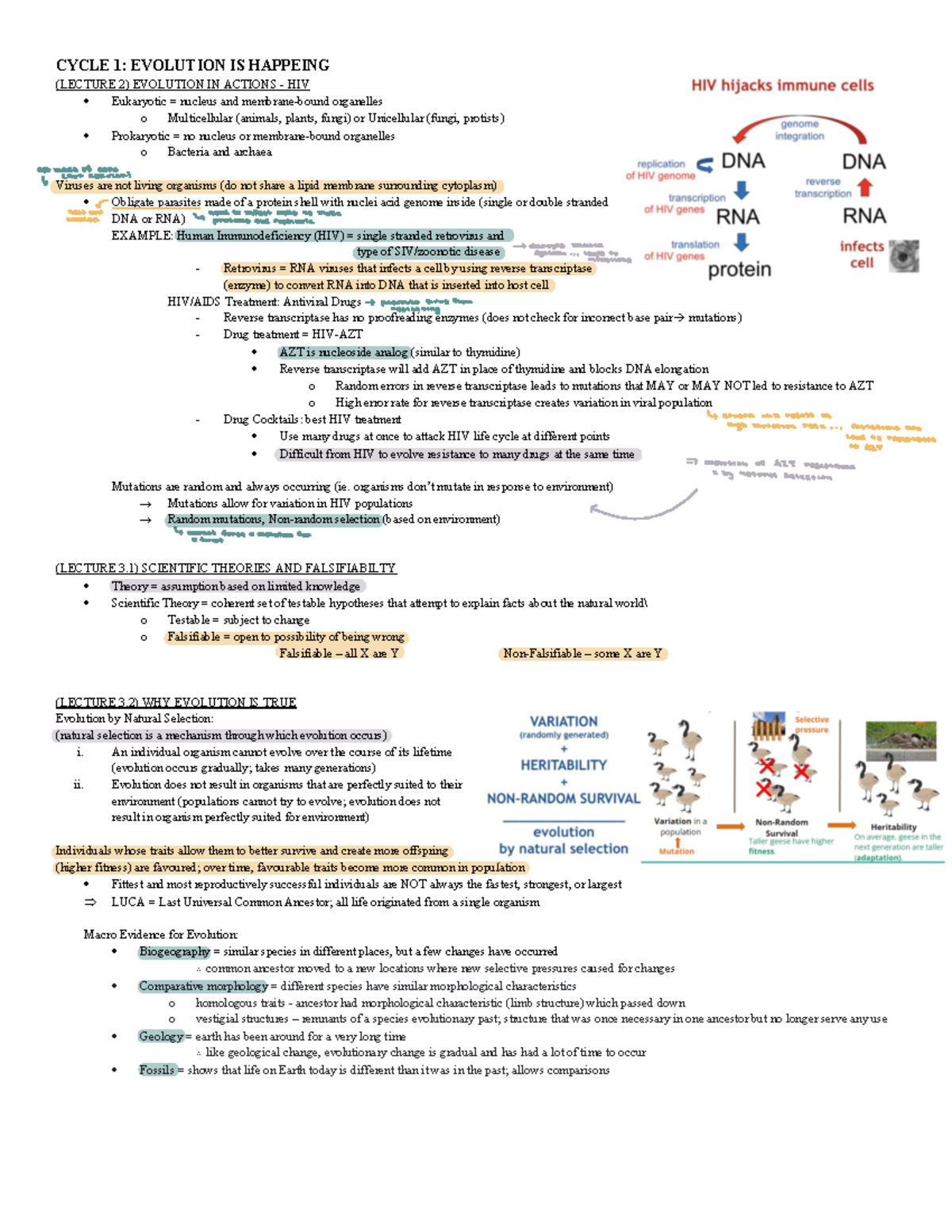 BIO 1001A Cycle Summary - CYCLE 1: EVOLUTION IS HAPPEING ...