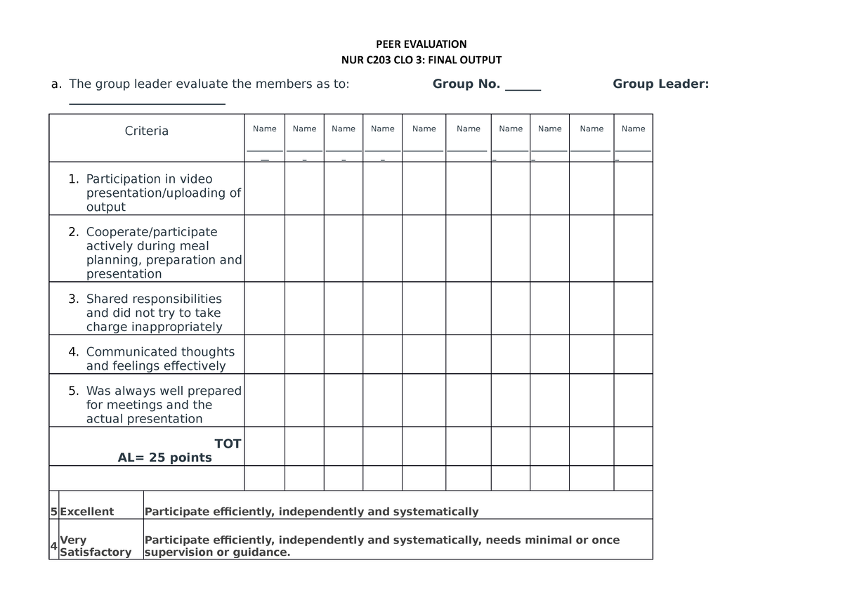 PEER Evaluation-Final Output For Group Leaders - PEER EVALUATION NUR ...