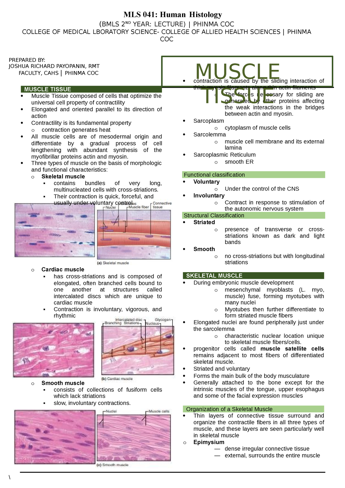 Lesson 5 - Muscle- Tissue - MLS 041: Human Histology (BMLS 2ND YEAR ...