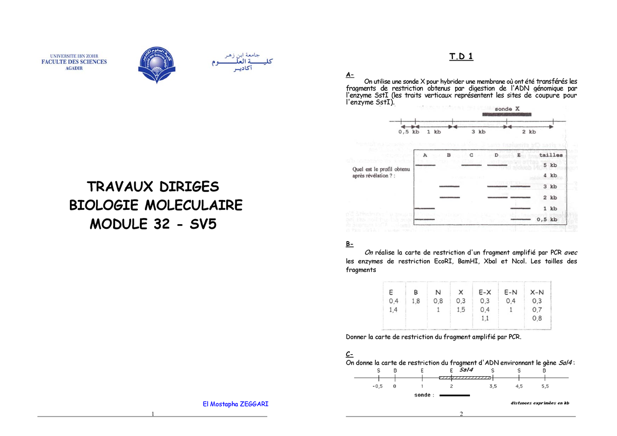 TD Biologie Moléculaire SVI5 2019 2020 - TRAVAUX DIRIGES BIOLOGIE ...