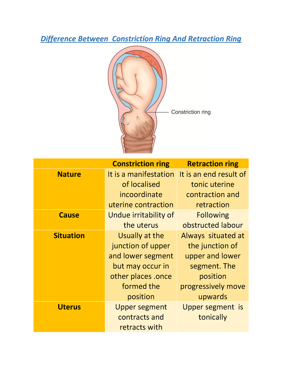 Reproductive System | Springer Publishing