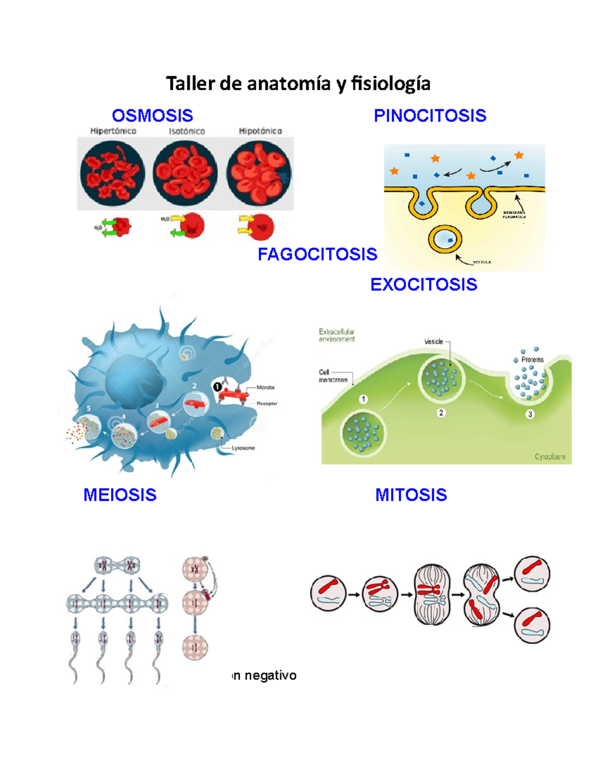 Actividad 1-Identificacion de reacciones fisiologicas del cuerpo humano ...