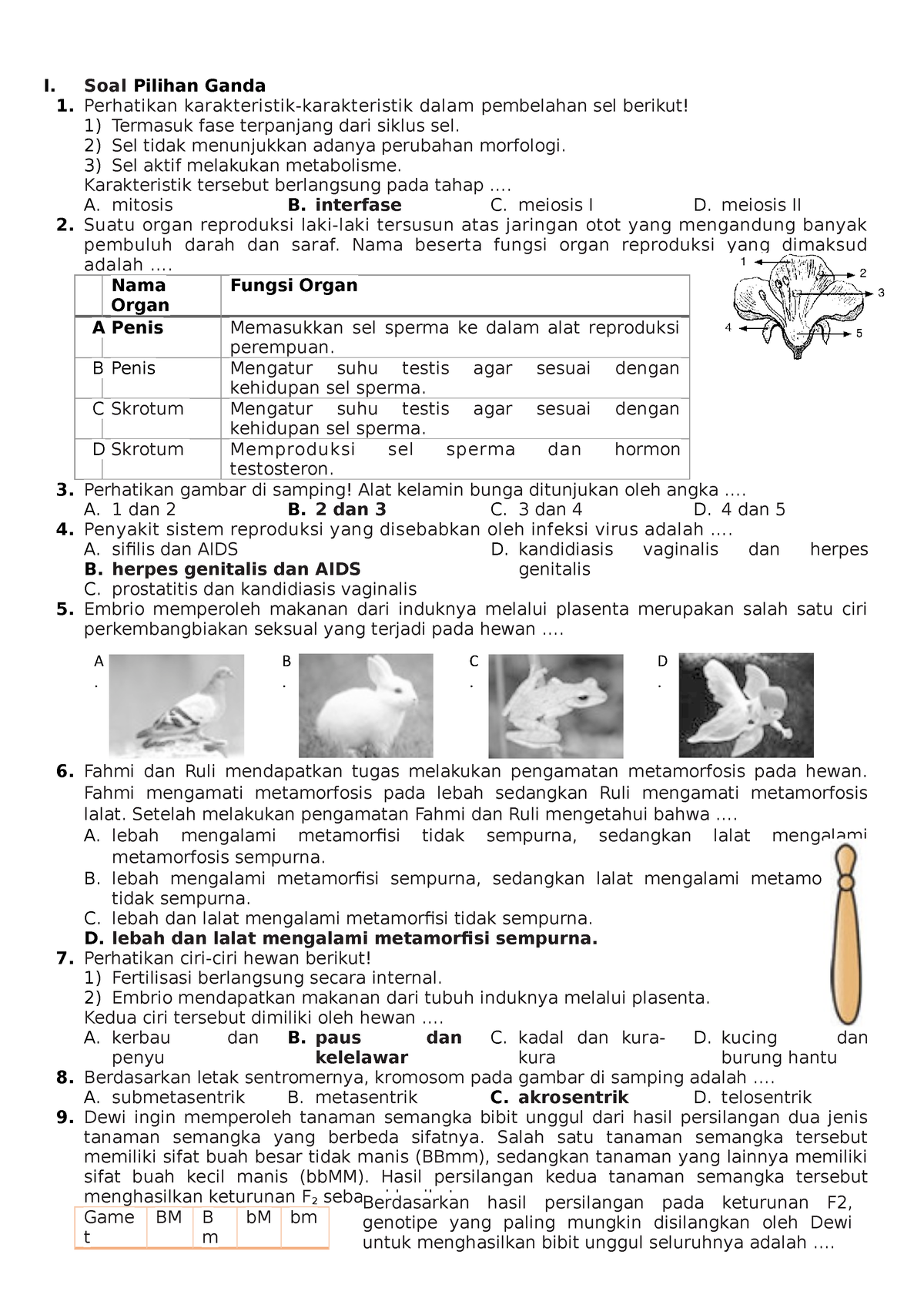 SOAL Sumatif Akhir Semester TH. 2022-2023 - I. Soal Pilihan Ganda 1 ...