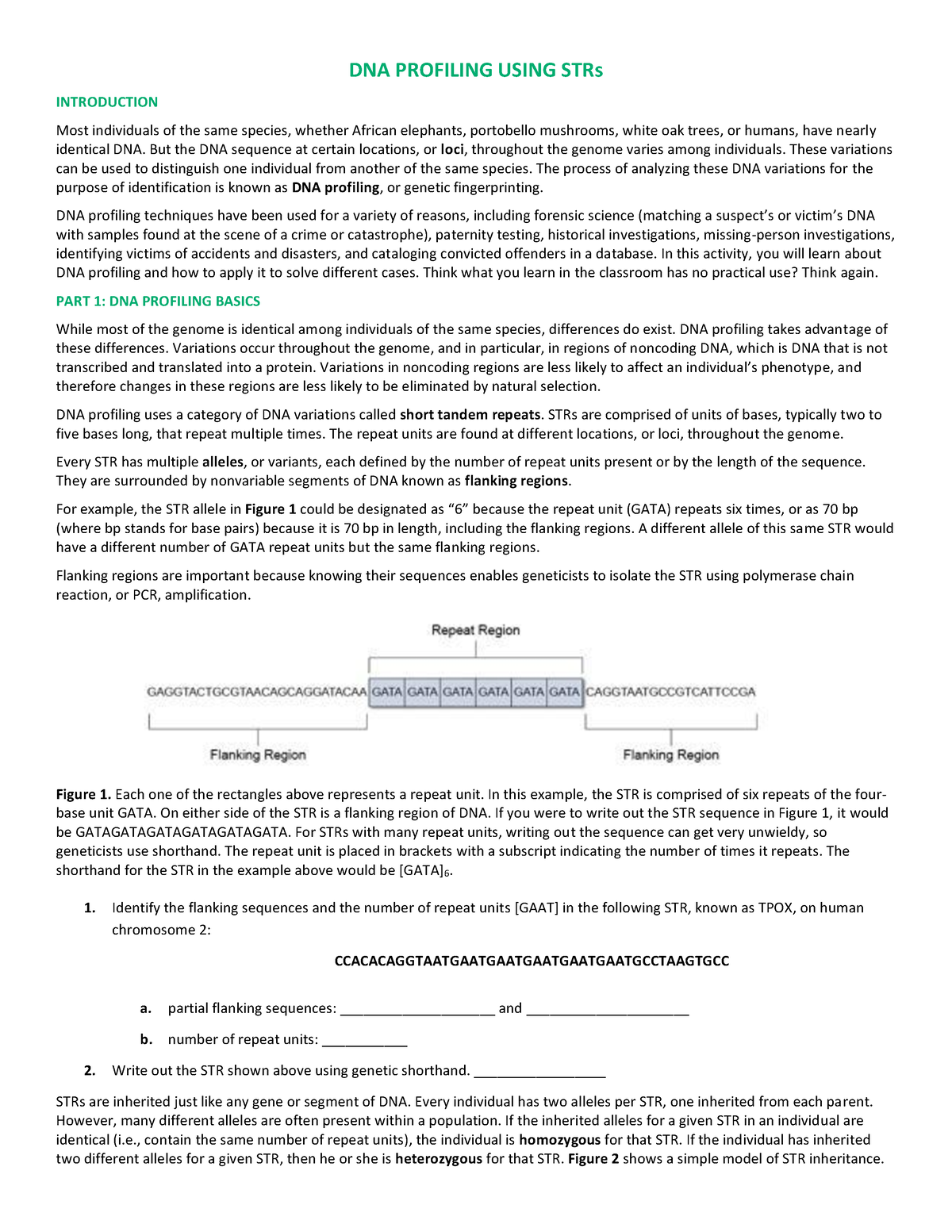 dna-profiling-strs-worksheet-dna-profiling-using-strs-introduction