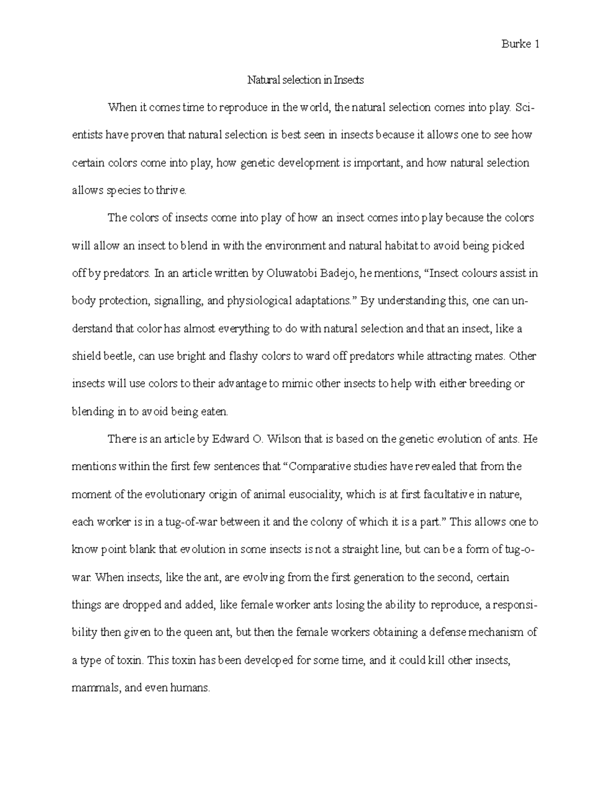 Natural selection in insects - Burke 1 Natural selection in Insects ...