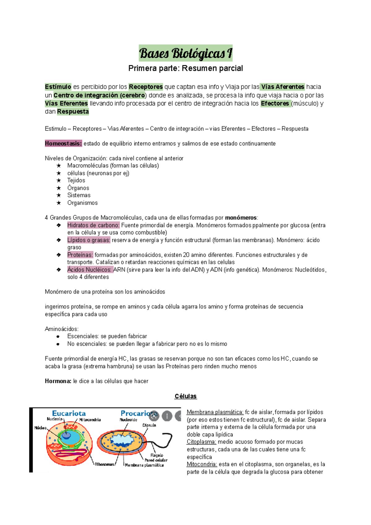 Bases Biológicas I - Resumen Para Examen Final (segunda Parte De La ...