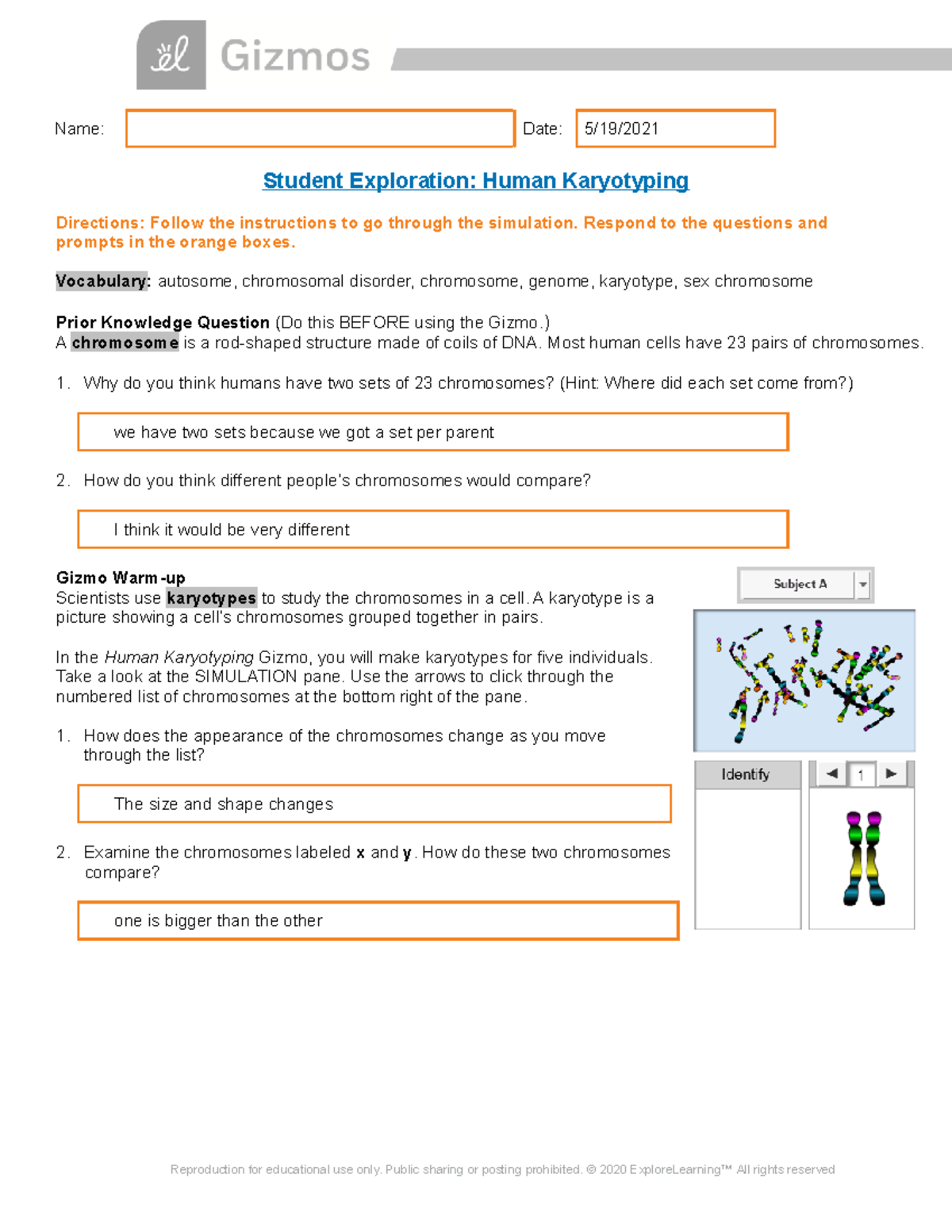 Human Karyotyping Gizmo - Name: Date: 5/19/ Student Exploration: Human ...