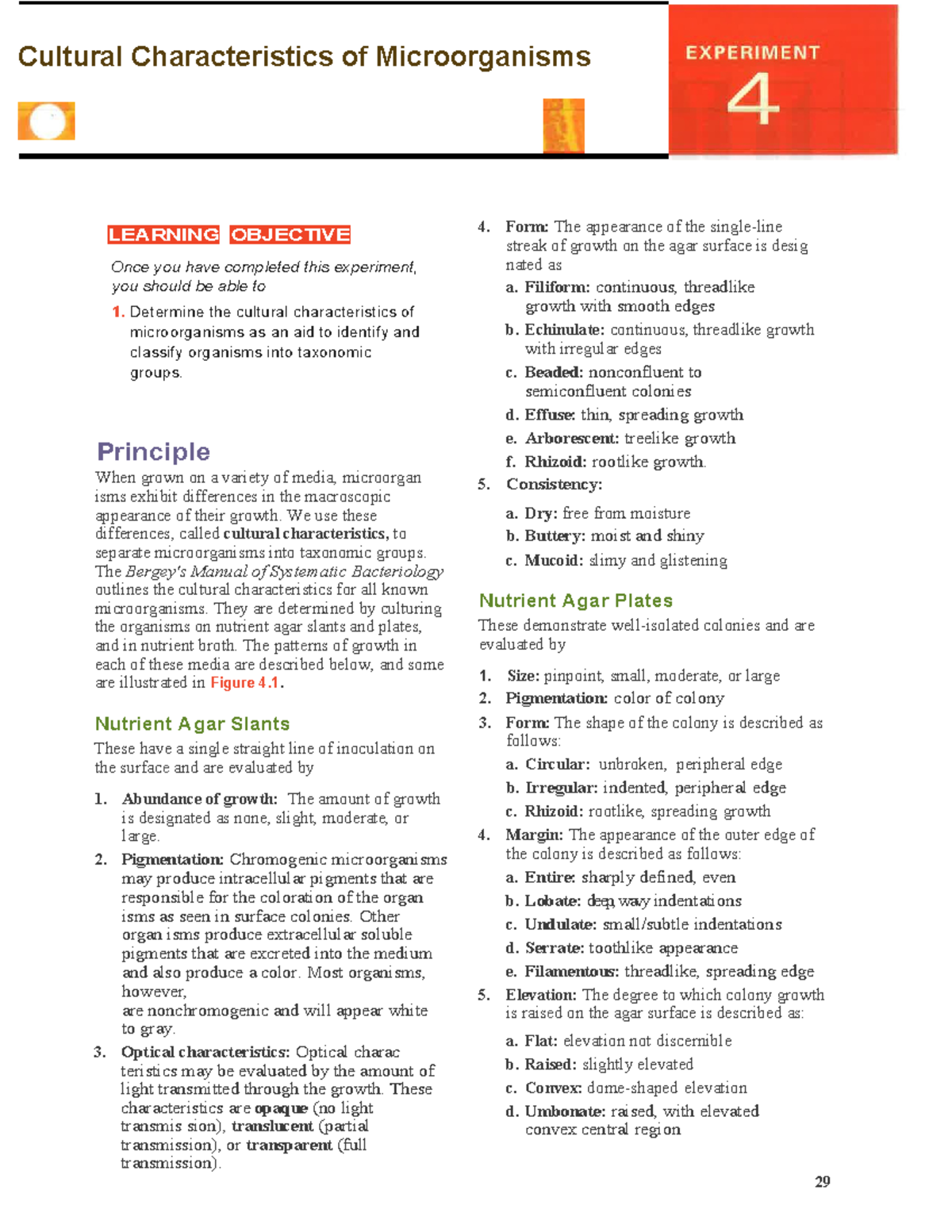 Lab+%234+-+Cultural+Characteristics+of+Microorganisms - Cultural ...