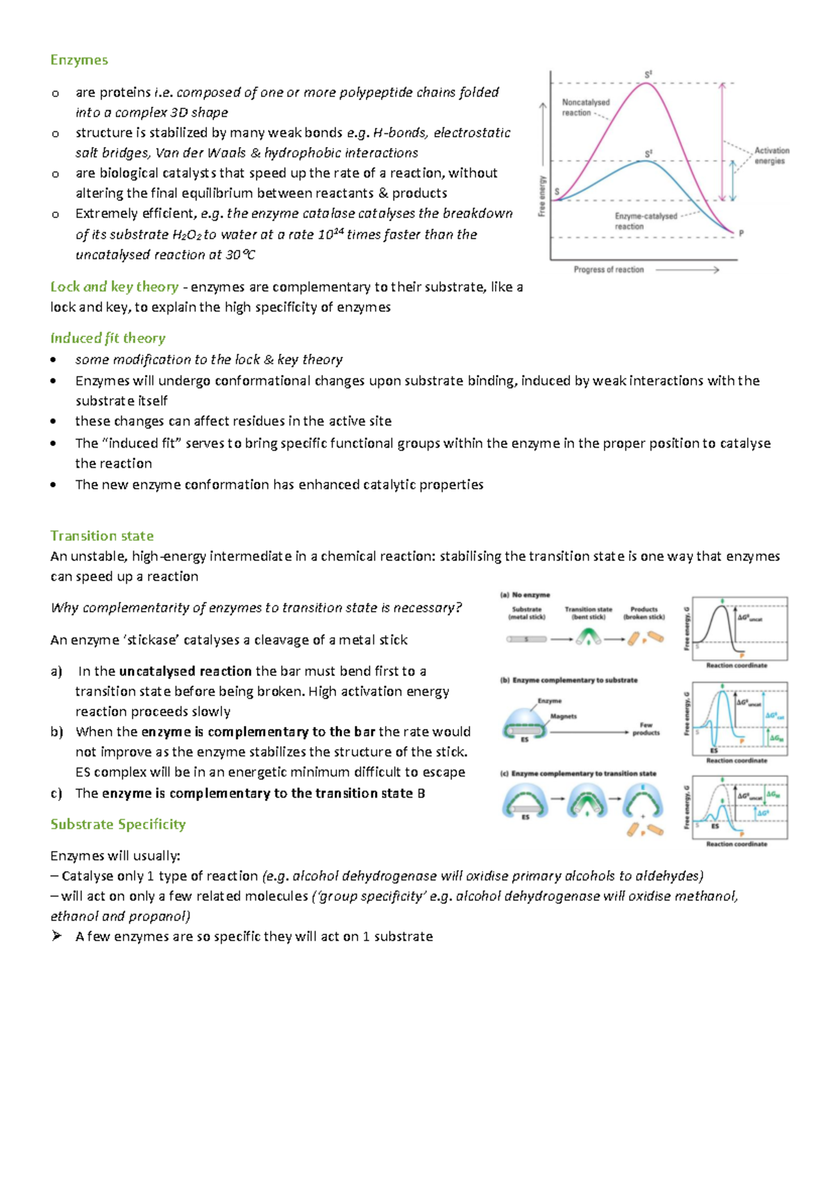 L11 Enzymes I Notes on the lecture Enzymes o are proteins i