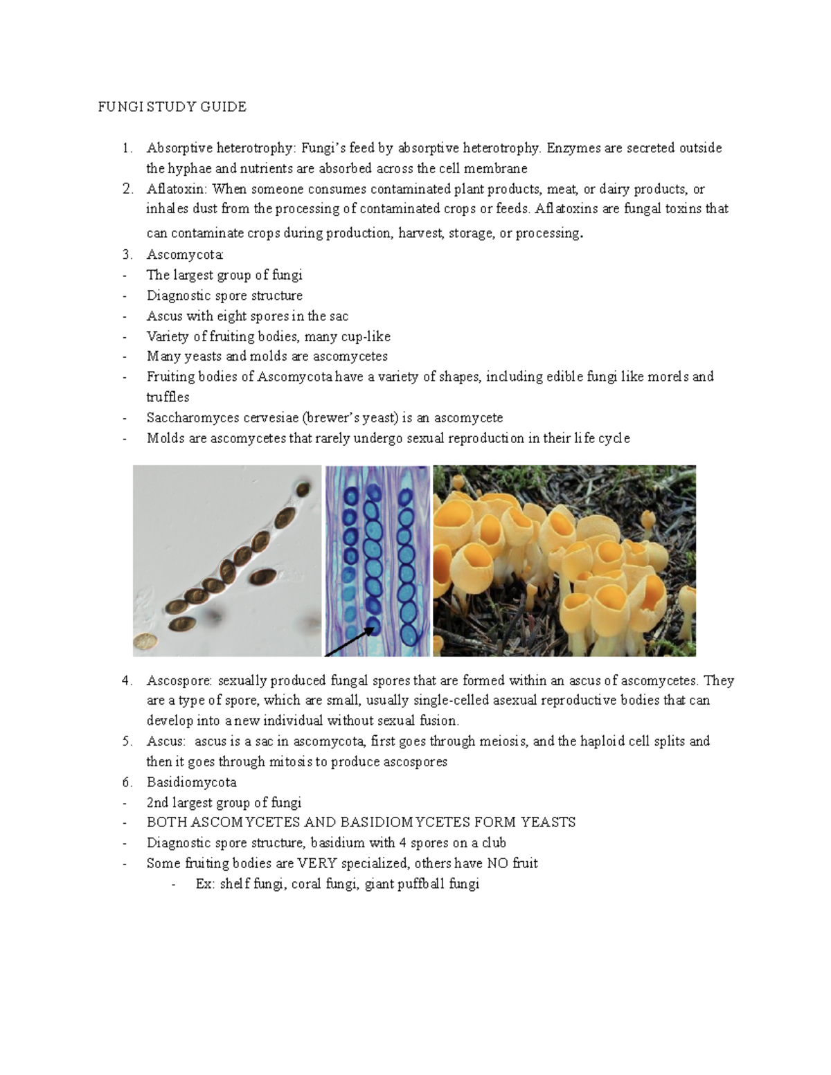 Bis 2C Fungi Study Guide 2024 - FUNGI STUDY GUIDE 1. Absorptive ...