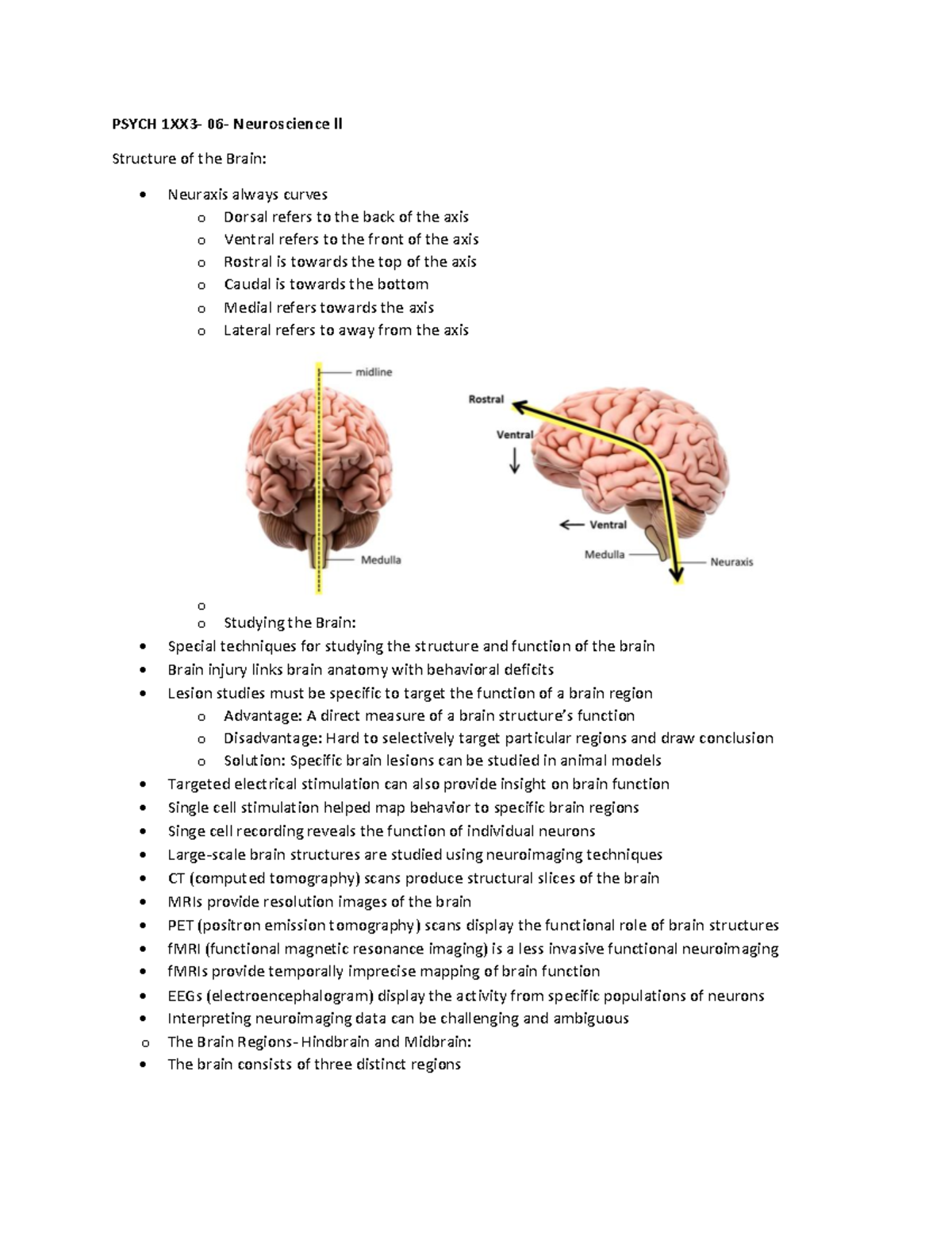 PSYCH 1XX3- 06- Neuroscience Ll - PSYCH 1XX3- 06 - Neuroscience Ll ...