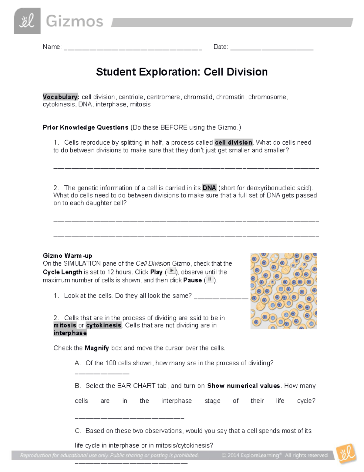 Cell Division SE Worksheet Part 1 - Name ...