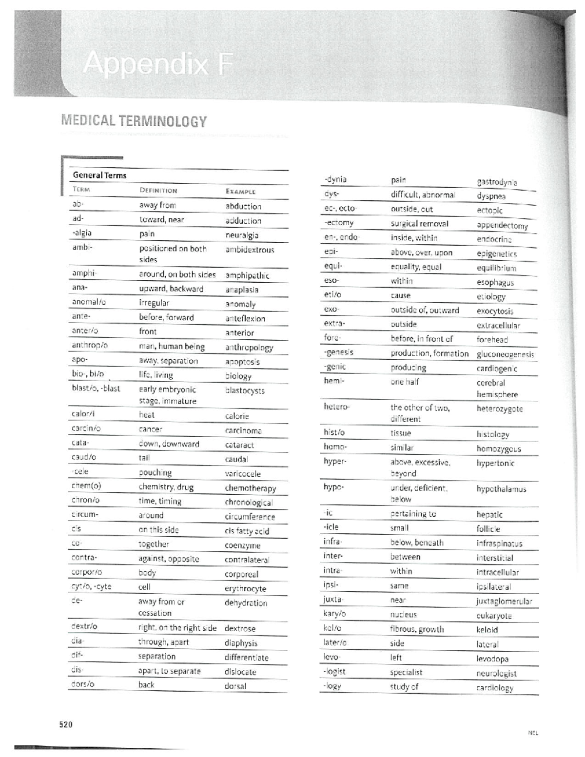 medical-terminology-anat-113-studocu