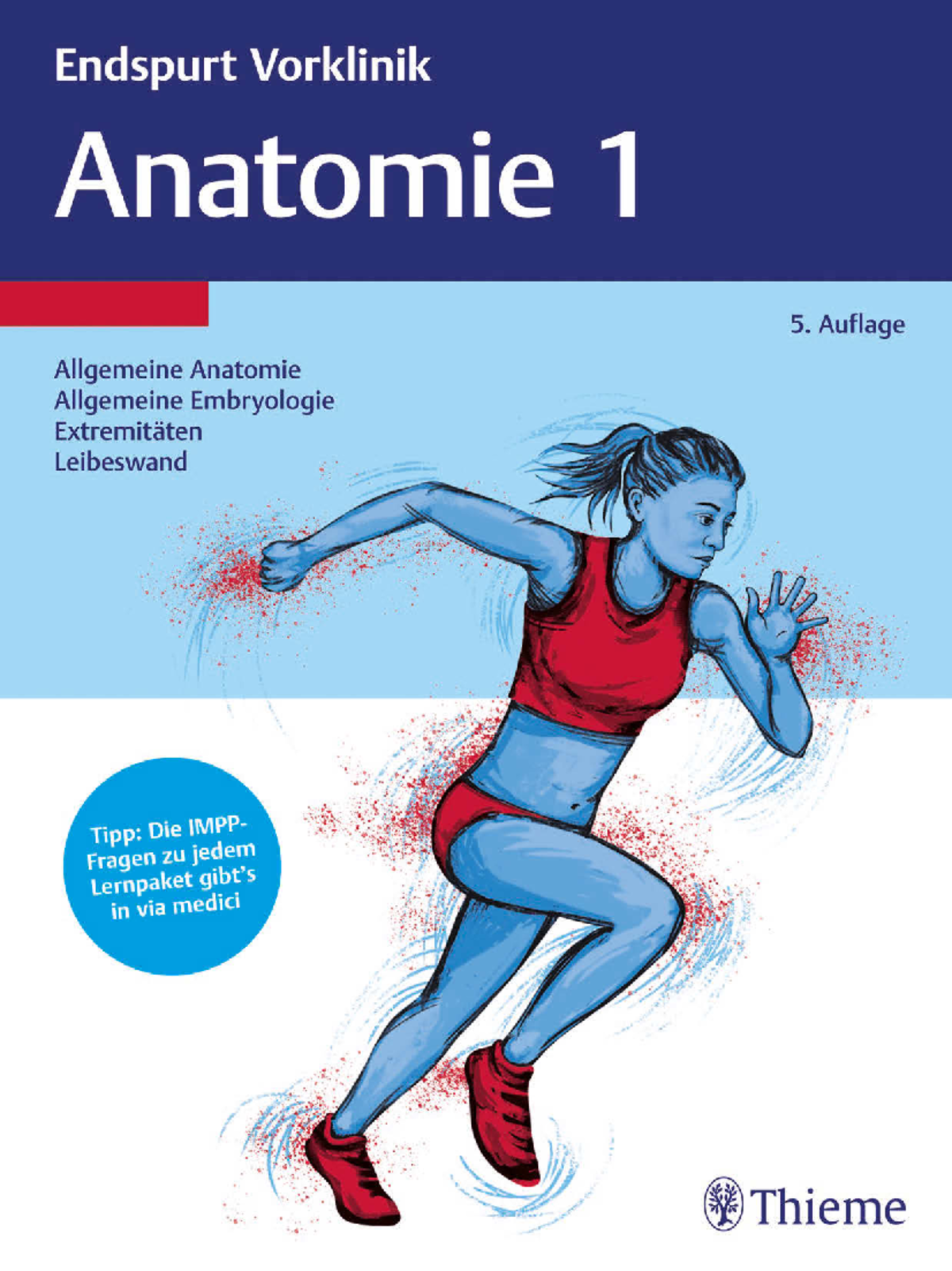 Thieme Endspurt Vorklinik Anatomie 1 Endspurt Vorklinik Anatomie 1