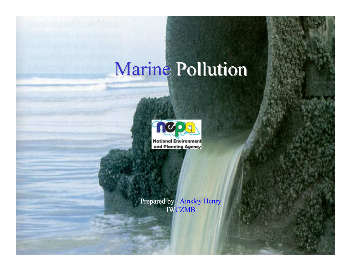 assignment 05.06 marine pollution