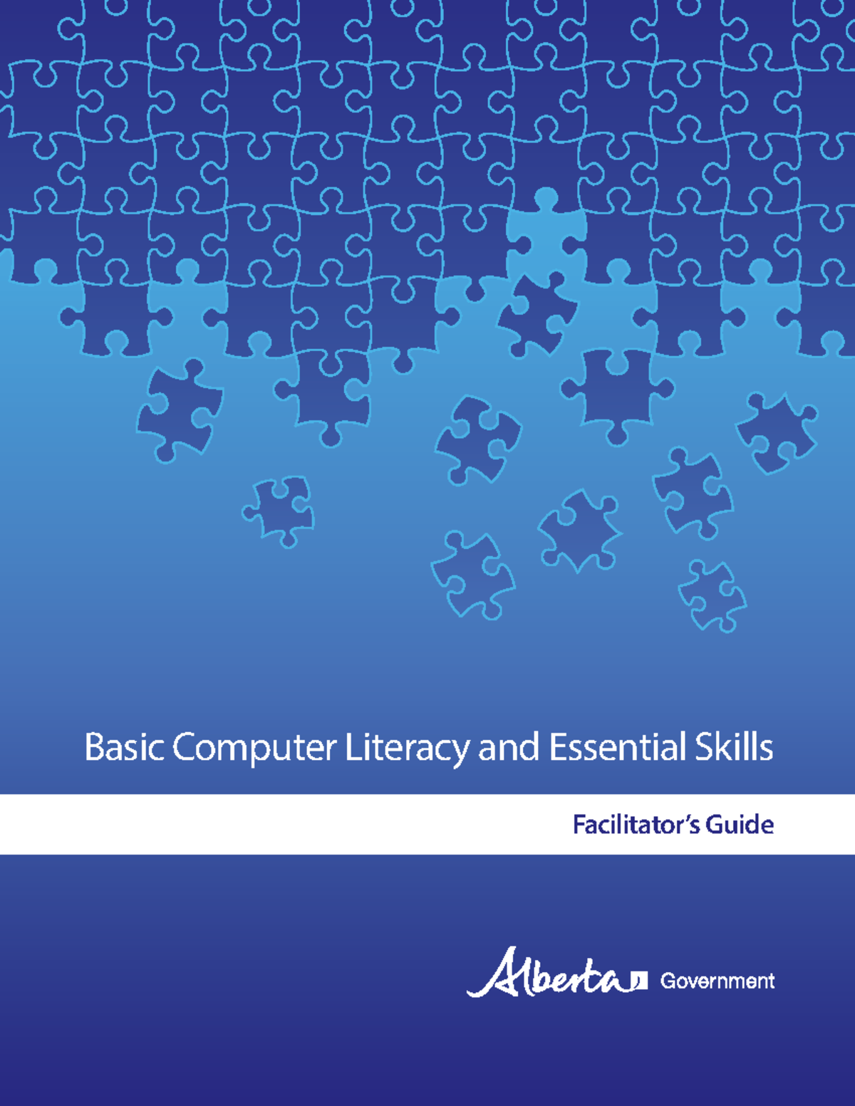Resource-doc-333 - Basic Computer Literacy and Essential Skills ...