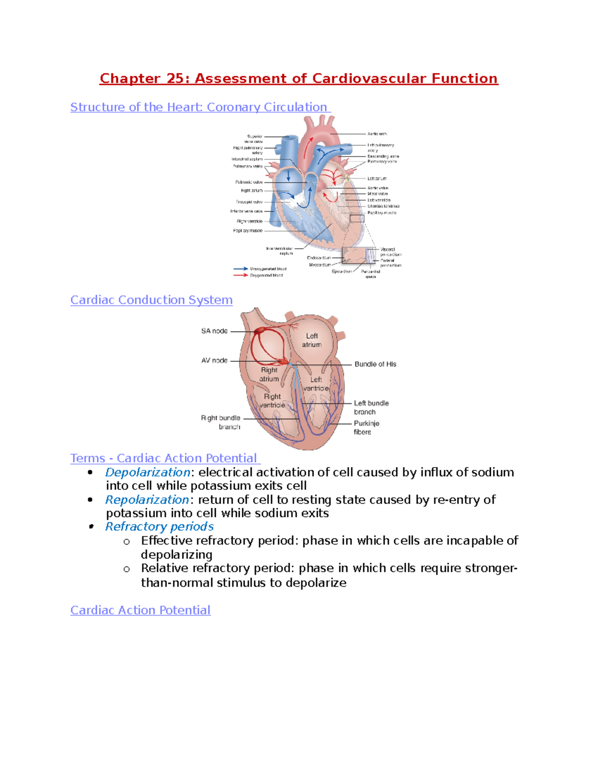 Ch. 25 Notes - Chapter 25 (Cardiovascular Assessment) - Chapter 25 ...