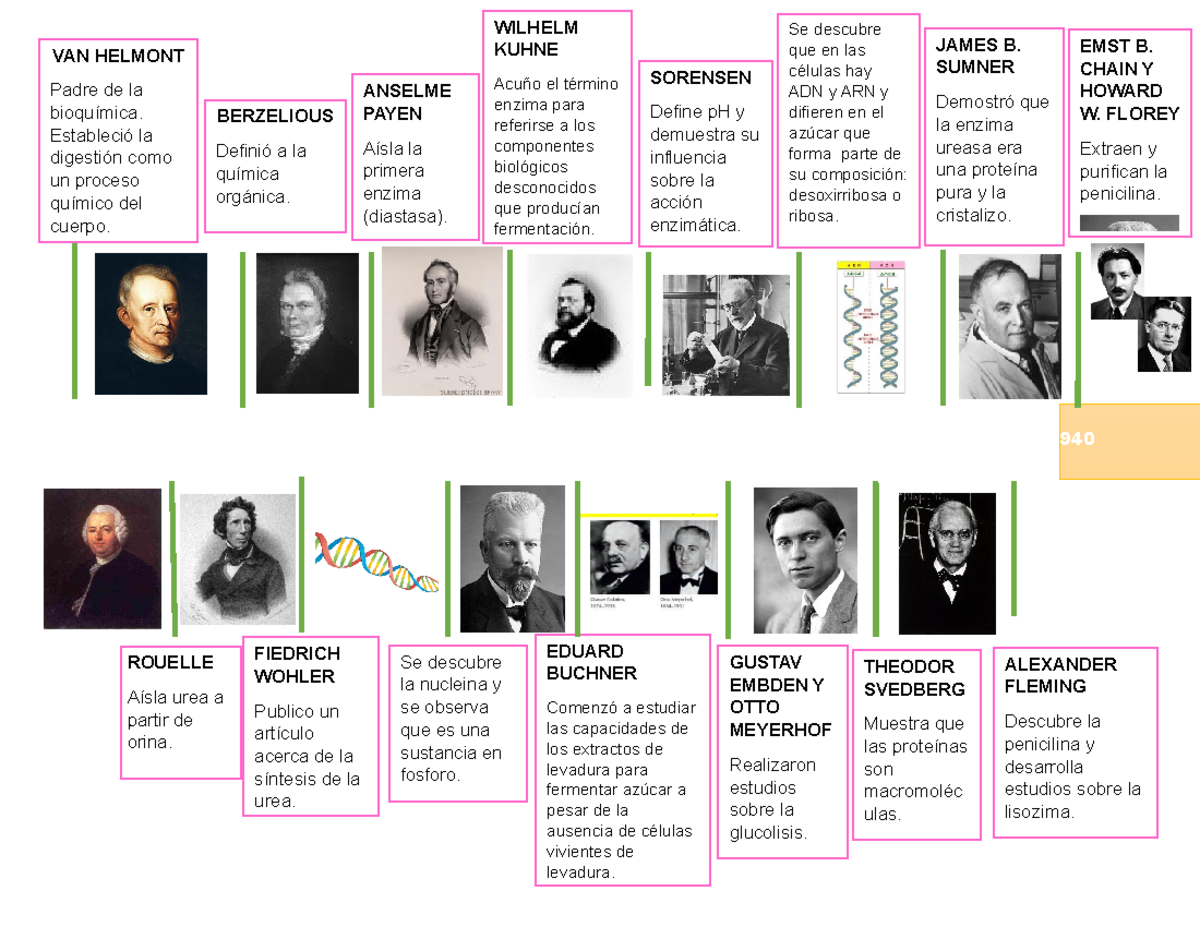 Bioquimica Linea DE Tiempo Historia 1D - EMST B. CHAIN Y HOWARD W ...