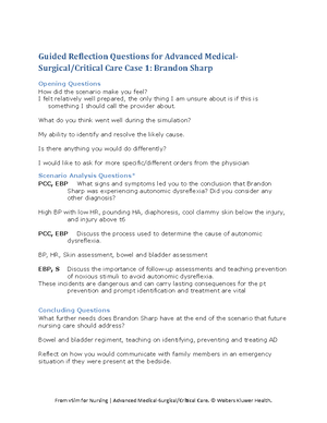 VSIM 1 debreif Sharp autonomic dysreflexia - Guided Reflection ...