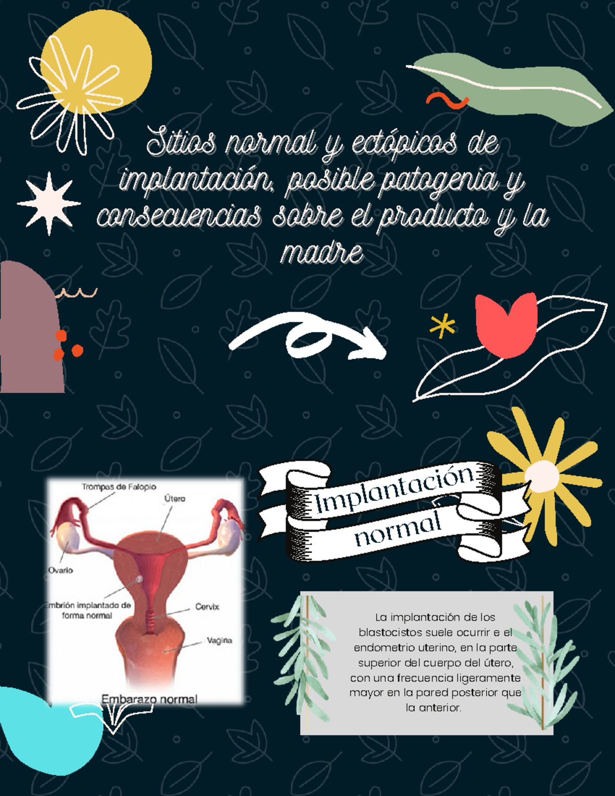 Sitios normal y ectópicos de implantación - Sitios normal y ectópicos ...