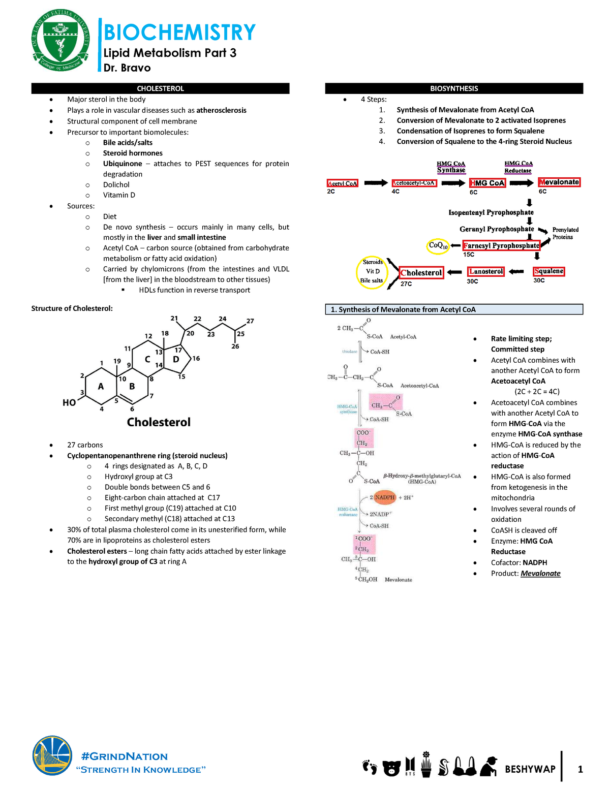 1.3 Lipid Metabolism Part 3 - Lipid Metabolism Part 3 Dr. Bravo # ...