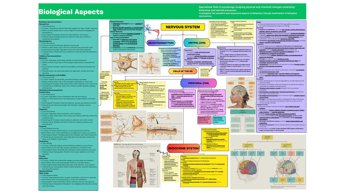Biological Aspects - Week 2 and 3 - NERVOUS SYSTEM NEUROTRANSMITTERS ...