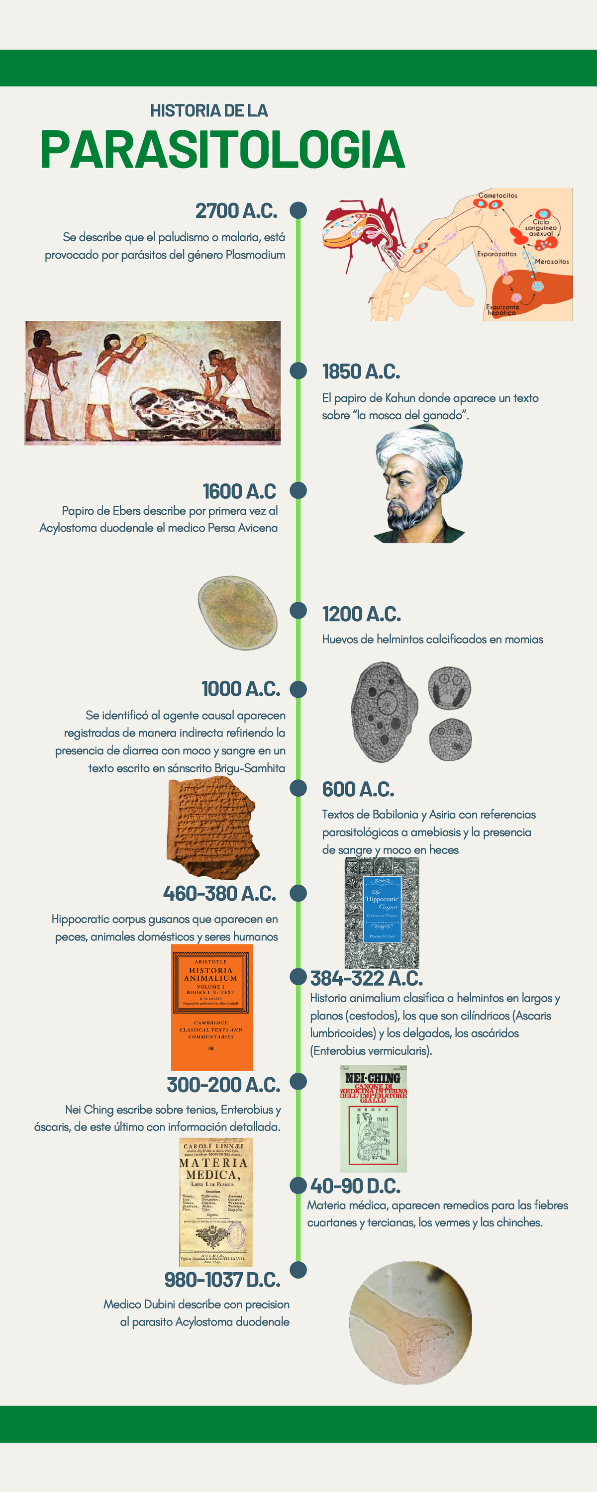 Microbiologia Y Parasitologia Linea Del Tiempo De La Vrogue Co