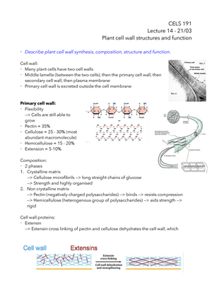 cell wall structure and function