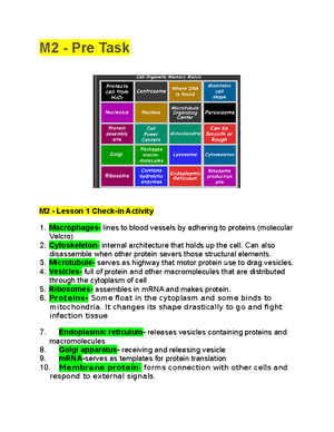 M2 Check in Activity for Lab Exercise 3 - Ariar, Jyllianne Kyla C ...