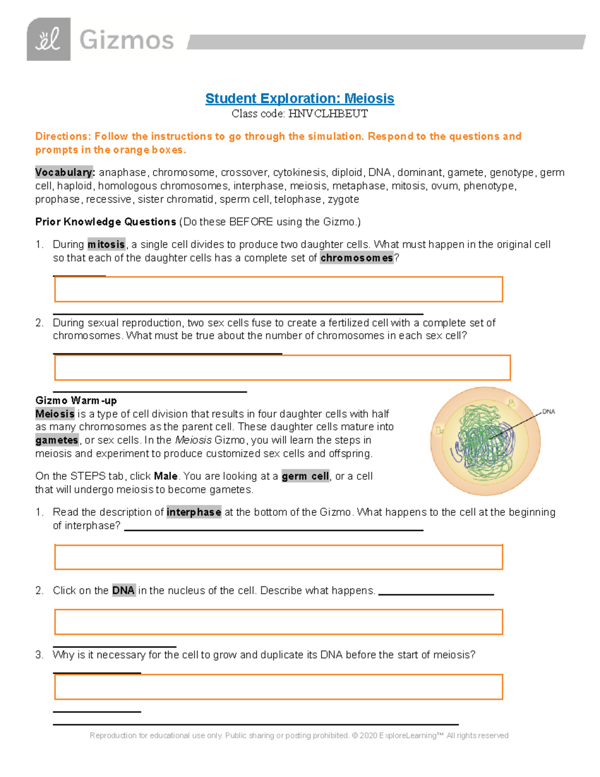 Gizmo Meiosis SE - Student Exploration: Meiosis Class code: HNVCLHBEUT ...