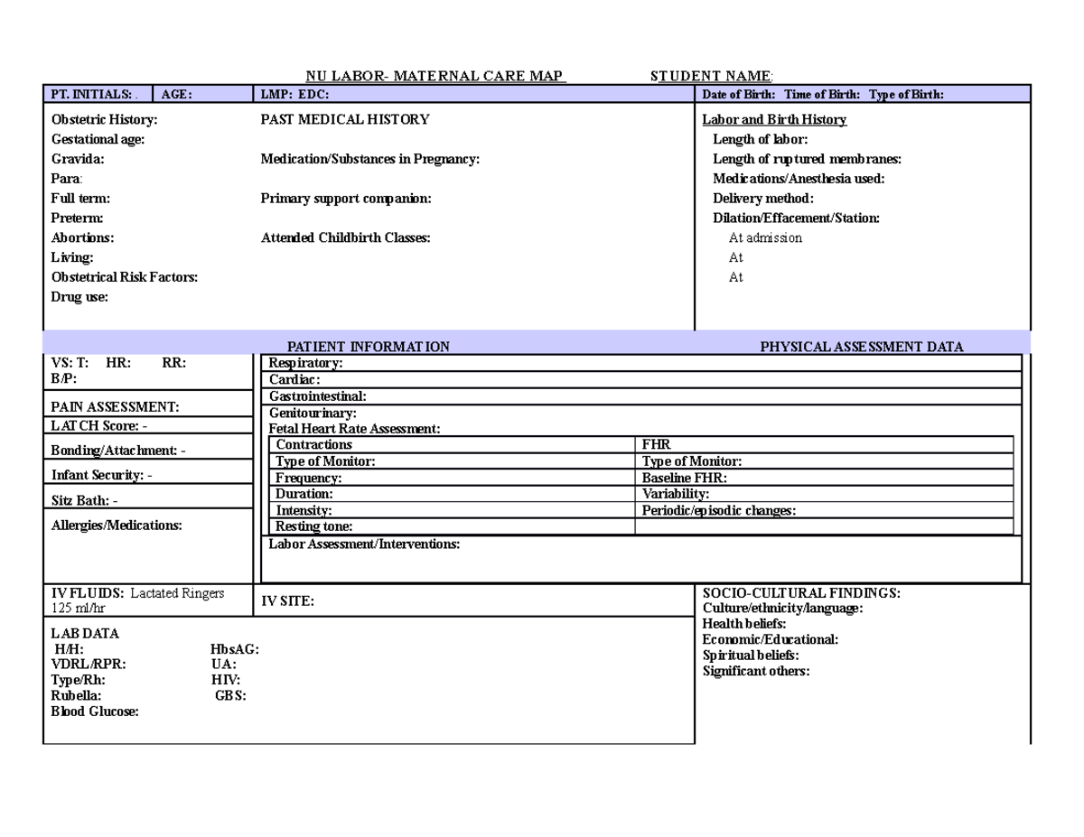 Data Sheet Laboring Pt and Care Plan VSIM- Jones - NU LABOR- MATERNAL ...