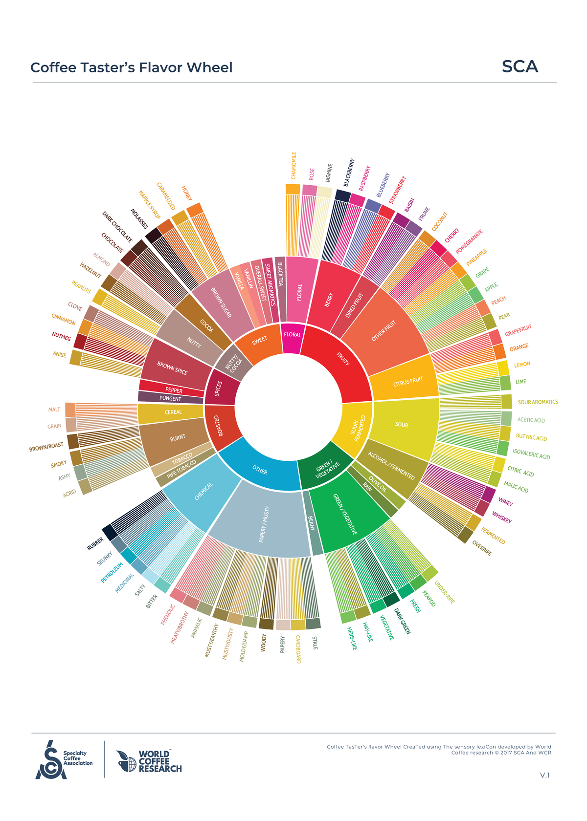 Coffee Taster’s Flavor Wheel 01 ENG 50x70 - Coffee Taster’s Flavor ...