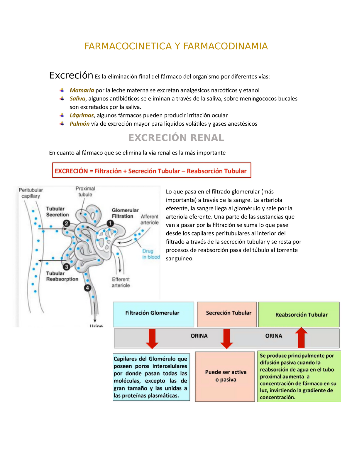 farmacología farmacodinamia clase 2 unab 2021 farmacocinetica y