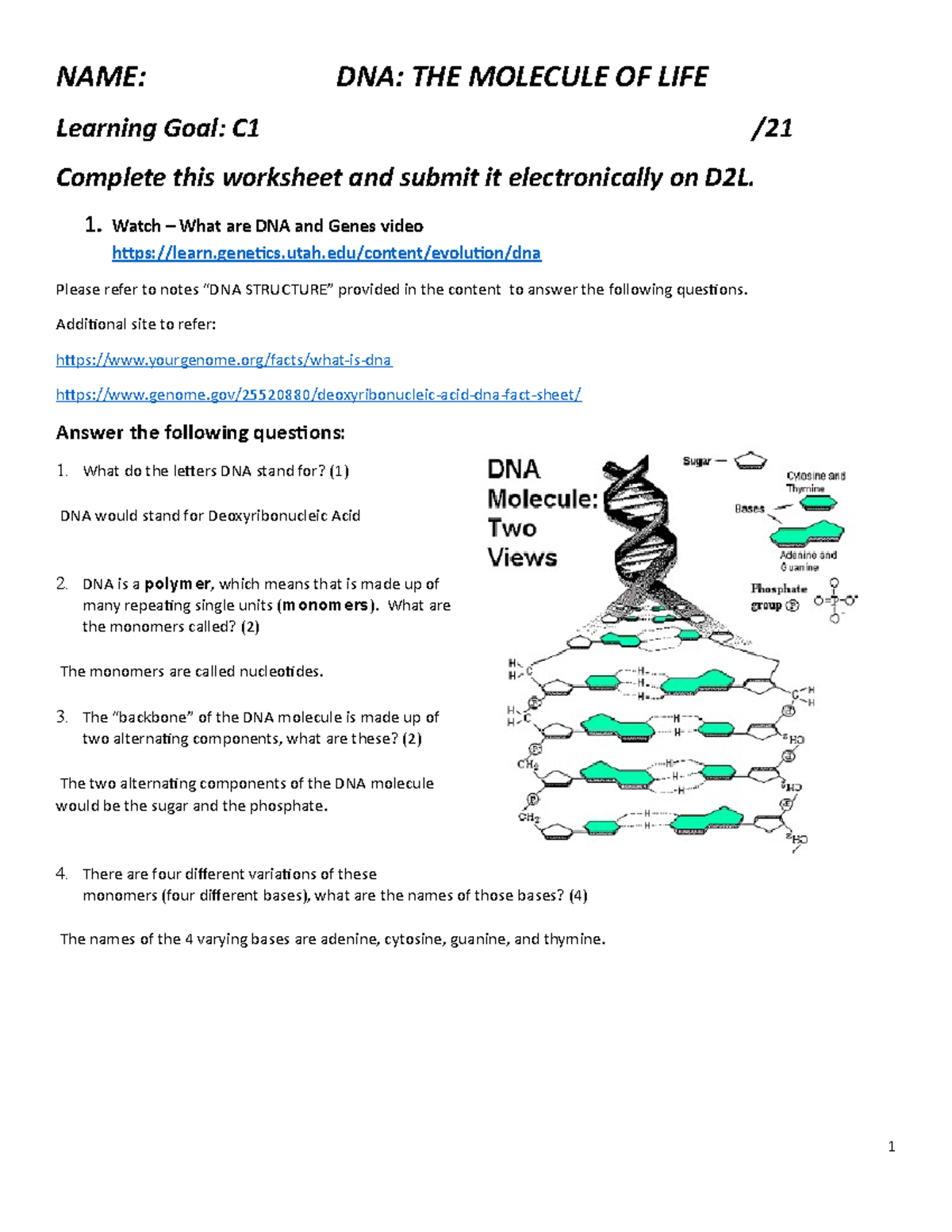 DNA Structure Interactive Note 2021 - BTEC 3P62 - Brocku - Studocu