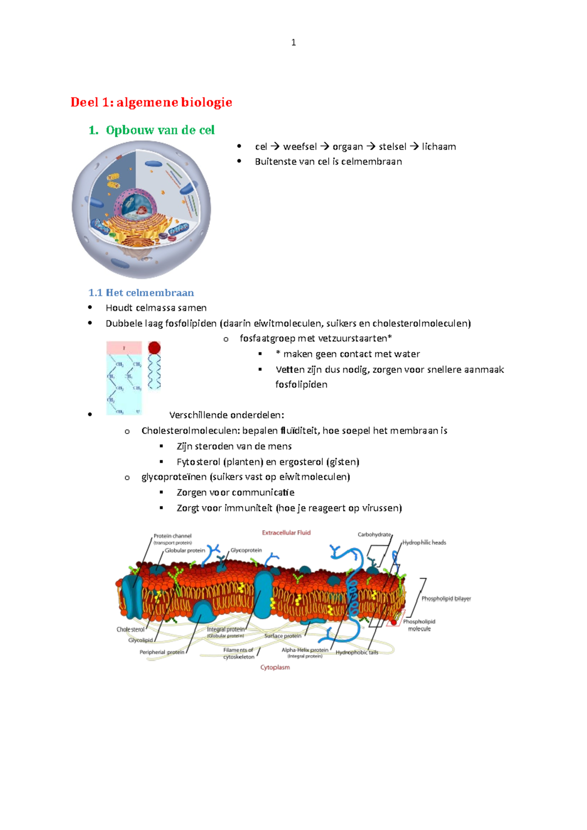 Biologie Samenvatting Biologie Voor 1FM - 1 Deel 1: Algemene Biologie 1 ...