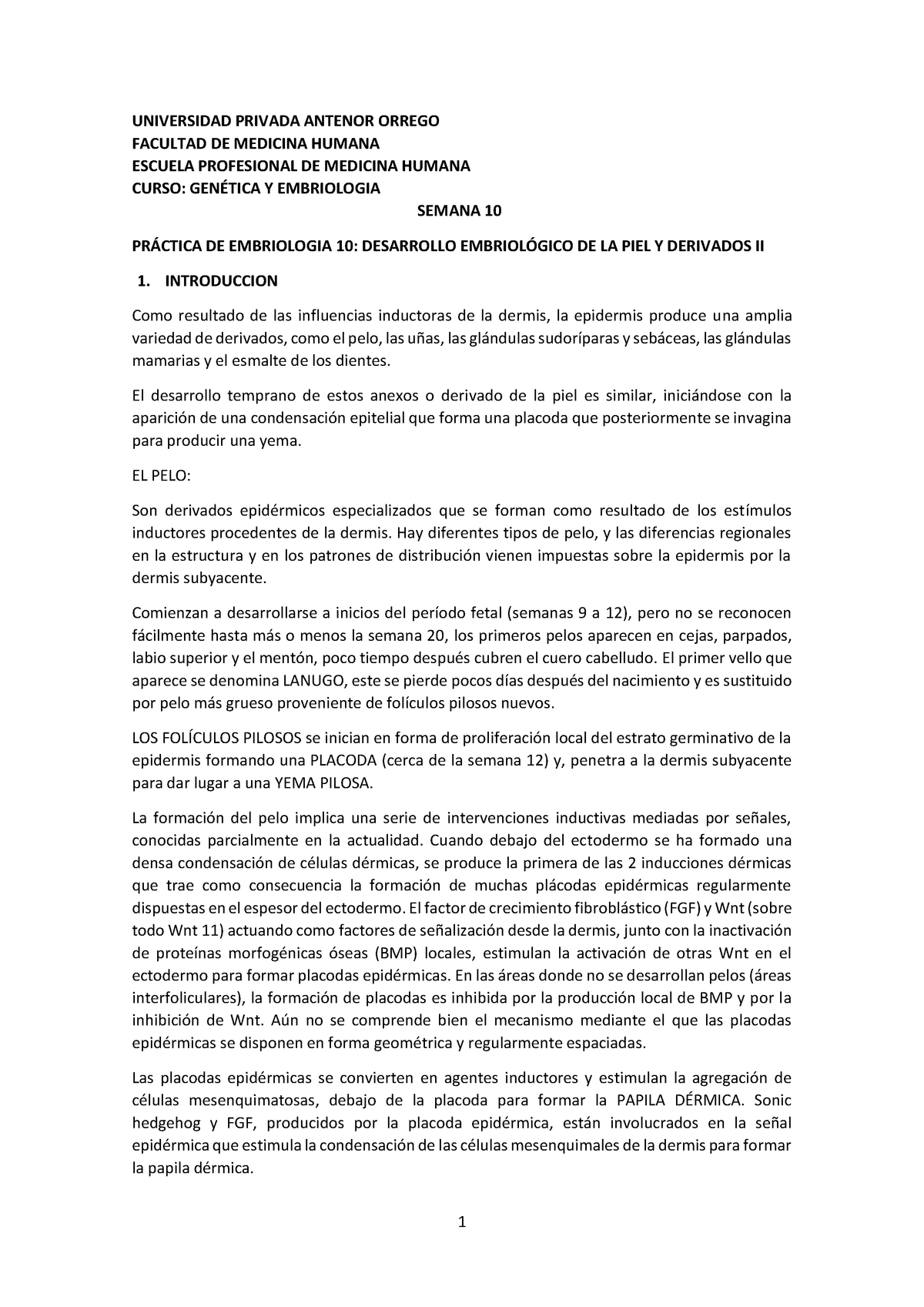 Semana 10 Practica DE Embriologia 2021 10 - Genética y Embriología ...