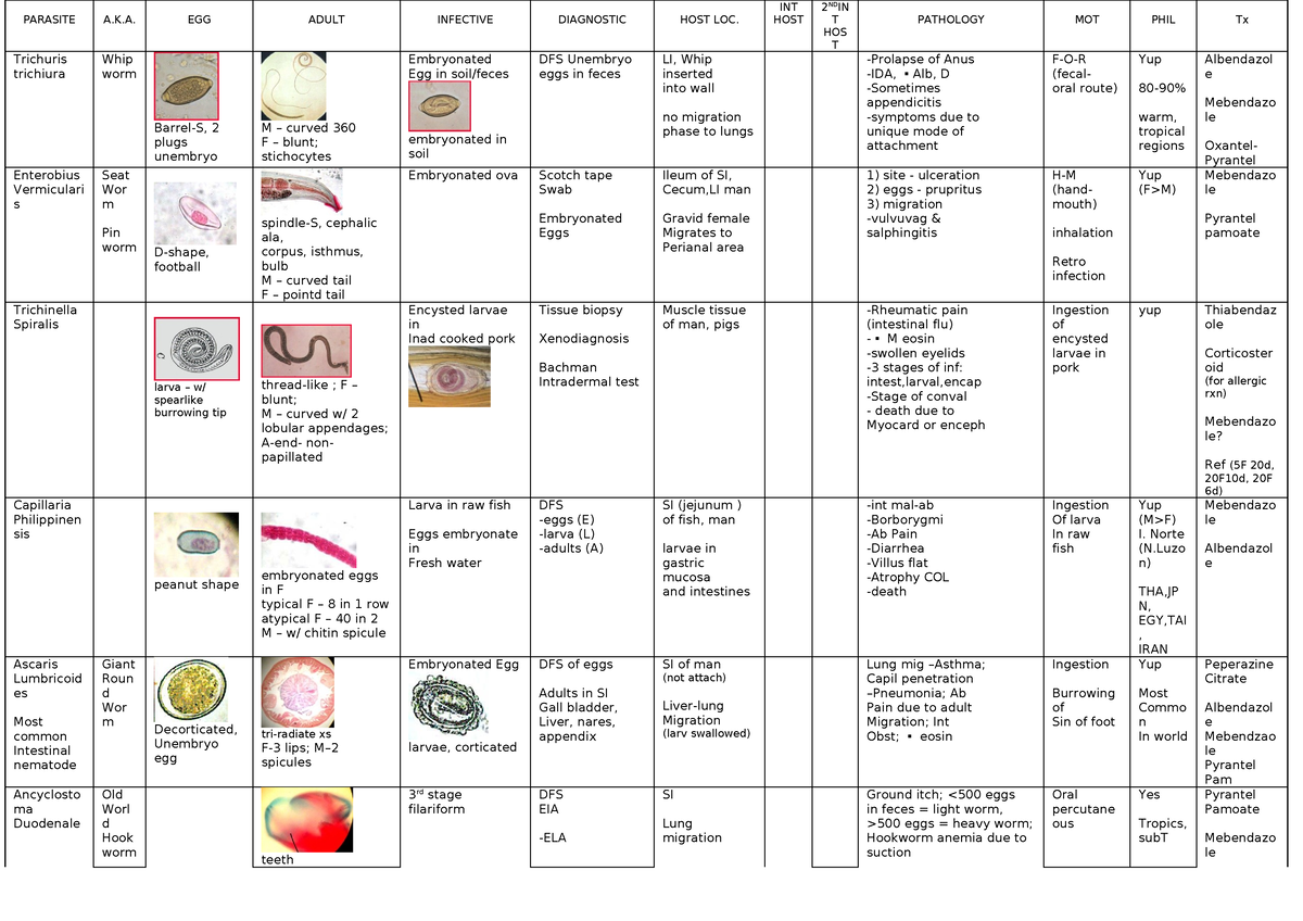 Parasitology-Tables - table - PARASITE A.K. EGG ADULT INFECTIVE ...