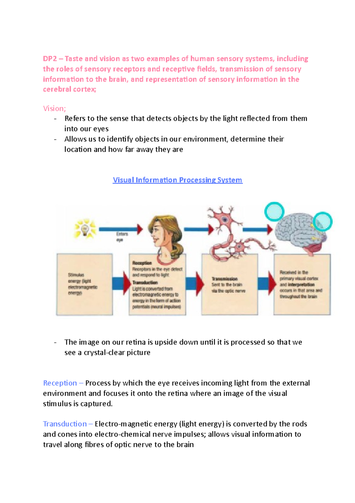DP2 - Psychology - Lecture notes 1 - DP2 – Taste and vision as two ...
