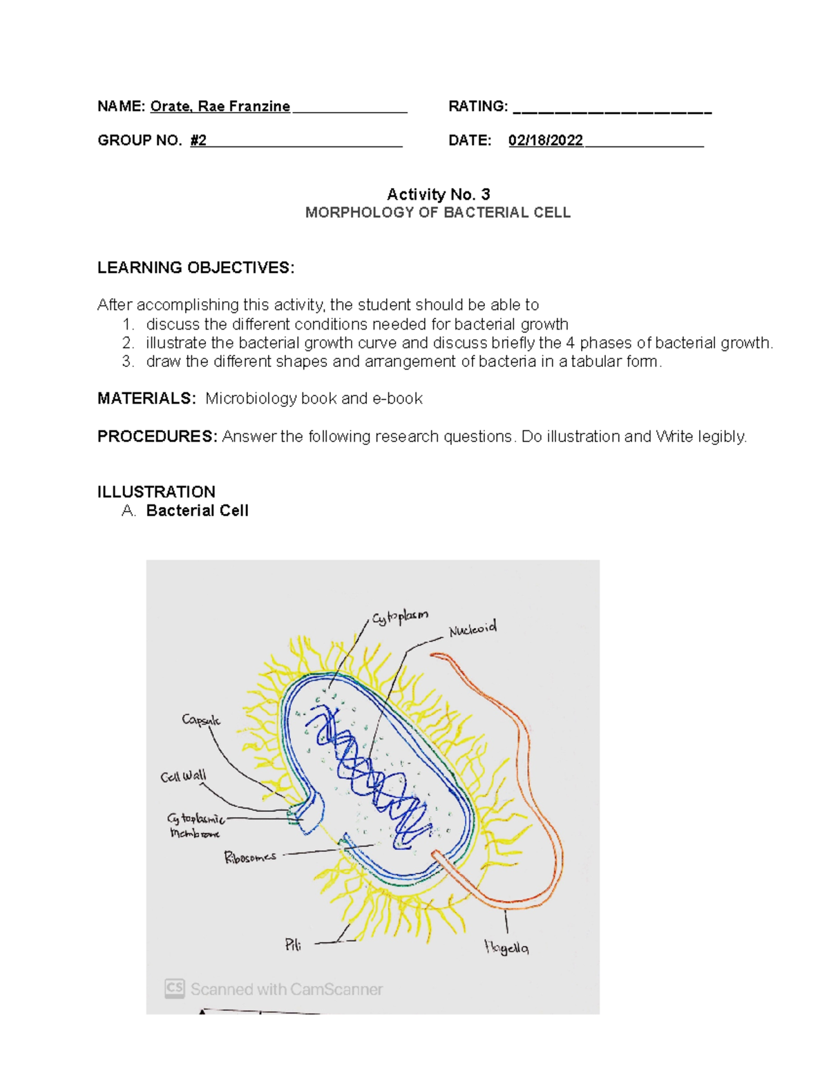 2022 Microlab Activity 3 Morphology Of Bacterial Cell Name Orate