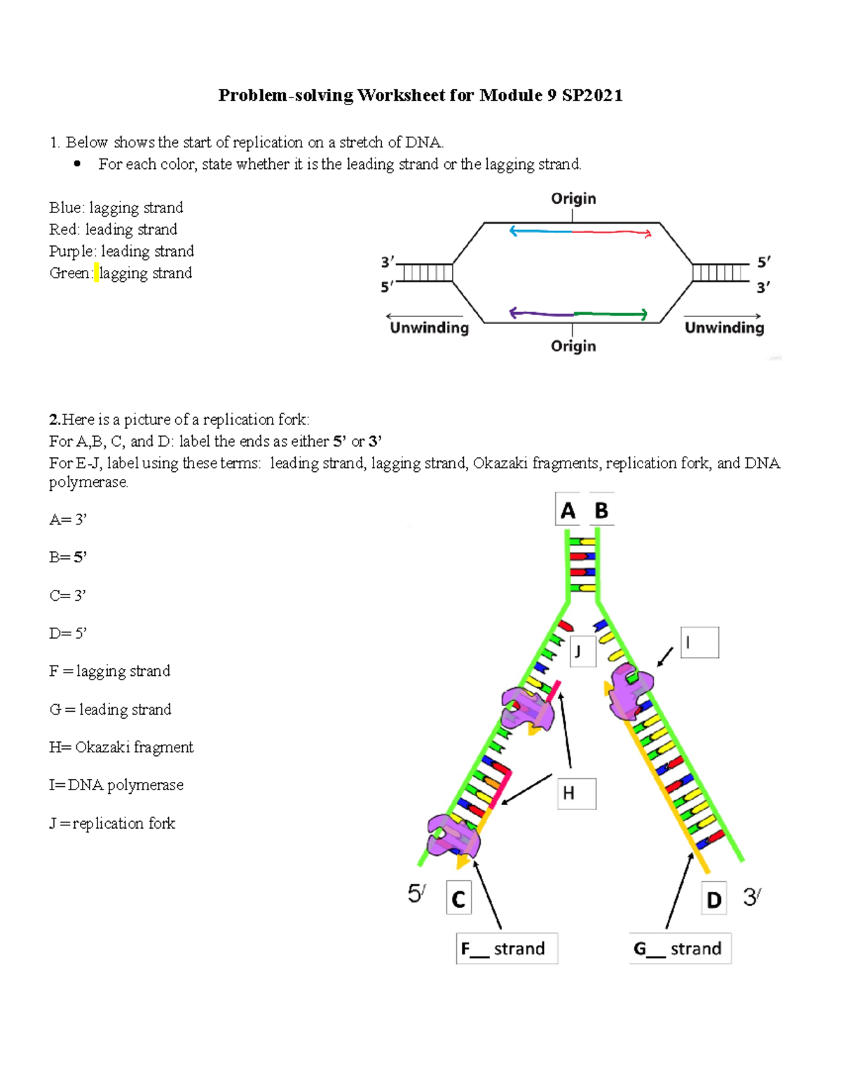 Module 9 Problem Solving Sheet Problem Solving Worksheet For Module 9