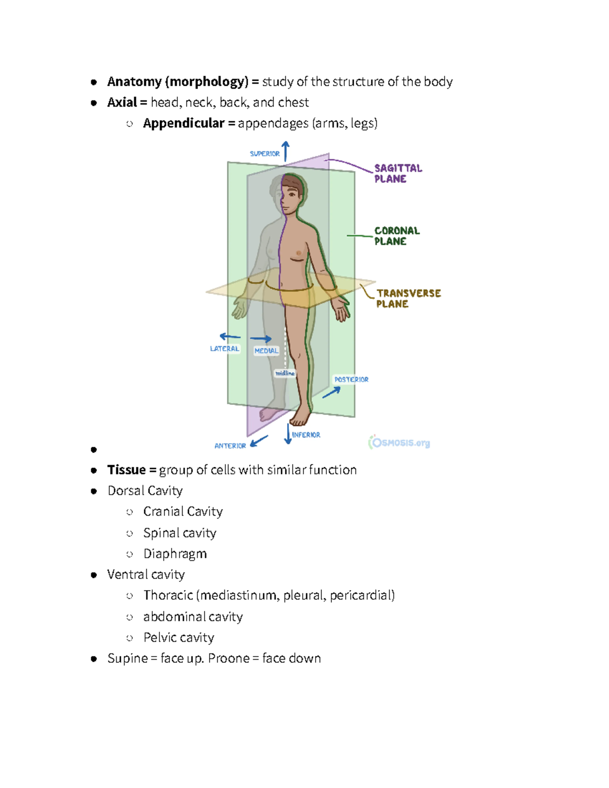 Anatomy (morphology) = study of the ... Biology Diagrams
